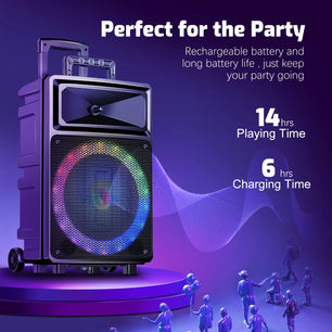 Karaoke Machine with 2 Wireless Microphones, Bluetooth Speaker, Portable PA System - Karaoke, FM Radio, 12