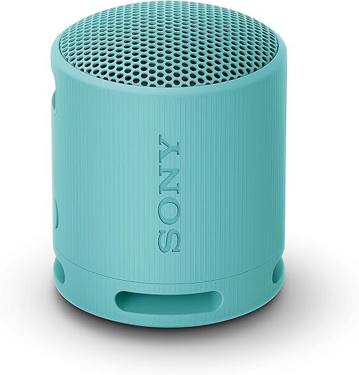 Sony SRS-XB100